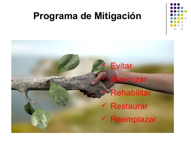 Plan de Manejo Ambiental - Mitigacion