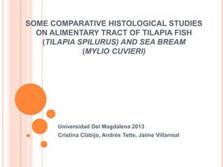SOME COMPARATIVE HISTOLOGICAL STUDIES
ON ALIMENTARY TRACT OF TILAPIA FISH
(TILAPIA SPILURUS) AND SEA BREAM
(MYLIO CUVIERI)

Universidad Del Magdalena 2013
Cristina Clabijo, Andrés Tette, Jaime Villarreal

 