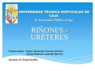 UNIVERSIDAD TÉCNICA PARTICULAR DE
LOJA

La Universidad Católica de Loja

RIÑONES URÉTERES
Responsables: Fabian Alexander Guerrero Briceño
Daniel Alejandro Jaramillo Bermeo
Docente: Dr. Ángel Gordillo

 