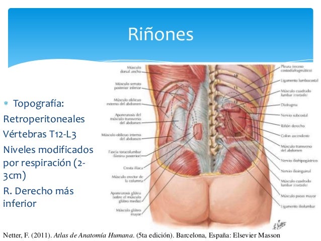 Duele fuerte los riñones y da en el pie derecho