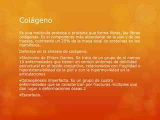 Colágeno
Es una molécula proteica o proteína que forma fibras, las fibras
colágenas. Es el componente más abundante de la piel y de los
huesos, cubriendo un 25% de la masa total de proteínas en los
mamíferos.
Defectos en la síntesis de colágeno:
•Síndrome de Ehlers-Danlos. Se trata de un grupo de al menos
10 enfermedades que tienen en común síntomas de debilidad
estructural en el tejido conjuntivo, relacionados con fragilidad e
hiperextensibilidad de la piel y con la hipermovilidad en la
articulaciones
•Osteogénesis imperfecta. Es un grupo de cuatro
enfermedades que se caracterizan por fracturas múltiples que
dan lugar a deformaciones óseas.2
•Escorbuto.

 