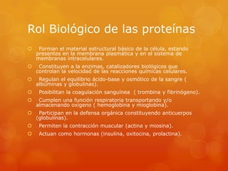 Rol Biológico de las proteínas


Forman el material estructural básico de la célula, estando
presentes en la membrana plasmática y en el sistema de
membranas intracelulares.



Constituyen a la enzimas, catalizadores biológicos que
controlan la velocidad de las reacciones químicas celulares.



Regulan el equilibrio ácido-base y osmótico de la sangre (
albúminas y globulinas).



Posibilitan la coagulación sanguínea ( trombina y fibrinógeno).



Cumplen una función respiratoria transportando y/o
almacenando oxigeno ( hemoglobina y mioglobina).



Participan en la defensa orgánica constituyendo anticuerpos
(globulinas).



Permiten la contracción muscular (actina y miosina).



Actuan como hormonas (insulina, oxitocina, prolactina).

 