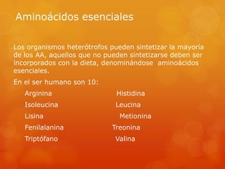 Aminoácidos esenciales
Los organismos heterótrofos pueden sintetizar la mayoría
de los AA, aquellos que no pueden sintetizarse deben ser
incorporados con la dieta, denominándose aminoácidos
esenciales.
En el ser humano son 10:
Arginina

Histidina

Isoleucina

Leucina

Lisina
Fenilalanina

Triptófano

Metionina
Treonina

Valina

 