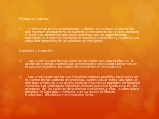 Formas de ingreso:


A diferencia de los carbohidratos y lípidos la variedad de proteínas
que ingresan al organismo es superior y proviene de los tejidos animales
y vegetales, determina que estas proteínas son un requerimiento
nutricional que permite mantener el equilibrio metabólico y posibilita una
adecuada reposición de las pérdidas de nitrógeno.

Digestión y absorción:


Las proteínas que forman parte de las dietas son degradadas por la
acción de enzimas proteolíticas (proteinazas y peptidasas) presentes en
el aparato digestivo, las cuales las convierten en aminoácidos.



Las proteinazas son las que hidrolizan enlaces peptídico localizados en
el interior de las cadenas de proteínas, suelen actuar sobre sustratos de
alto peso molecular y su acción produce fragmentos peptídico de longitud
variables. Las peptidasas hidrolizan enlaces peptídico localizados en los
extremos de las cadenas de proteínas o próximos a ellas, suelen atacar
péptidos de bajo peso molecular y en su acción se liberan
tripéptidos, dispéptico y aminoácidos libres.

 