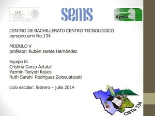 CENTRO DE BACHILLERATO CENTRO TECNOLOGICO
agropecuario No.134

MODULO V
profesor: Rubén zarate Hernández
Equipo 8:
Cristina Garza Aztatzi
Yazmin Teoyotl Reyes
Ruth Sarahi Rodríguez Zelocuatecatl
ciclo escolar: febrero – julio 2014

 