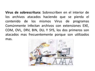 Virus de sobrescritura: Sobrescriben en el interior de
los archivos atacados haciendo que se pierda el
contenido de los mismos Virus de programas
Comúnmente infectan archivos con extensiones EXE,
COM, OVL, DRV, BIN, DLL Y SYS, los dos primeros son
atacados mas frecuentemente porque son utilizados
mas.
 