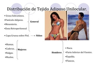 Distribución de Tejido Adiposo Unilocular.
• Grasa Subcutánea.
•Panículo Adiposo.
•Mesenterio.
•Zona Retroperitoneal
• Capa Gruesa sobre Piel.
•Mamas.
•Caderas.
•Nalgas.
•Muslos.
• Nuca.
•Parte Inferior del Vientre.
•Espalda.
•Flancos.
General
Mujeres
Hombres
Niños
 
