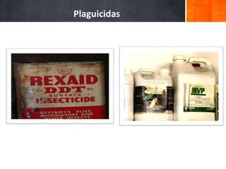 Plaguicidas 
 