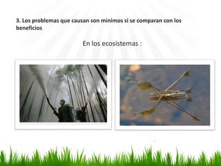 3. Los problemas que causan son minimos si se comparan con los 
beneficios 
En los ecosistemas : 
 