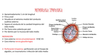 MEMBRANA TIMPANICA 
 Aproximadamente 1 cm de longitud 
 Fina y oval 
 Situada en el extremo medial del conducto 
auditivo externo 
 Separa el conducto de la cavidad timpánica del 
oído medio 
 Por fuera esta cubierta por piel 
 Por dentro por la mucosa del iodo medio 
INERVACION 
 Cara externa nervio ariculotemporal - R NC V3 
 Cara interna nervio glosofaríngeo 
 Perforación timpánica: perforación con el hisopo de 
algodón, un traumatismo i infección del oído medio 
 