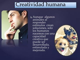 Creatividad humana 
 Aunque algunos 
animales al 
responder 
estímulos crean 
soluciones, solo 
los humanos 
nacemos con una 
capacidad 
creativa que 
puede ser 
desarrollada, 
estimulada y 
mejorada. 
 