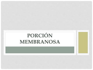 PORCIÓN
MEMBRANOSA
 