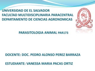 UNIVERSIDAD DE EL SALVADOR
FACULTAD MULTIDISCIPLINARIA PARACENTRAL
DEPARTAMENTO DE CIENCIAS AGRONOMICAS
PARASITOLOGIA ANIMAL PAR173
DOCENTE: DOC. PEDRO ALONSO PEREZ BARRAZA
ESTUDIANTE: VANESSA MARIA PACAS ORTIZ
 