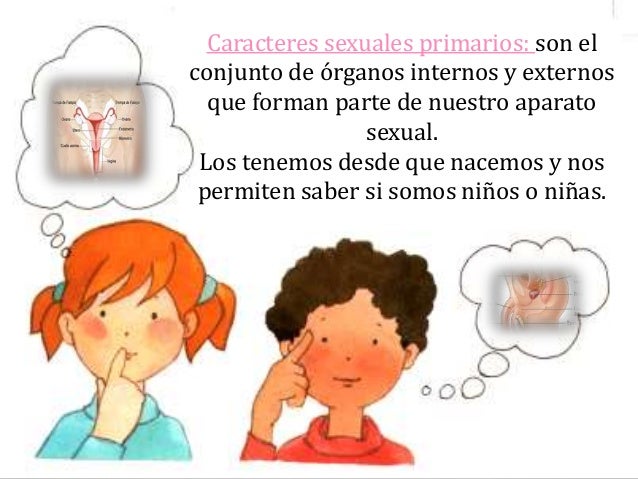 características sexuales