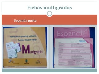 Segunda parte
Fichas multigrados