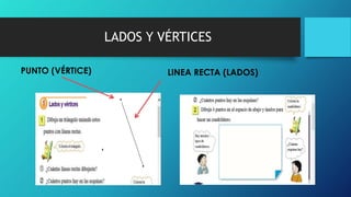 LADOS Y VÉRTICES
PUNTO (VÉRTICE) LINEA RECTA (LADOS)
 