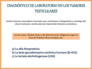 Existen diversos marcadores tumorales que contribuyen al diagnóstico y estadiaje del
cáncer testicular, siendo además importantes factores pronósticos.
DIAGNÓSTICO DE LABORATORIOEN LOS TUMORES
TESTICULARES
a) La alfa-fetoproteína
b) La beta-gonadotropina coriónica humana (β-HCG)
c) La lactato-deshidrogenasa (LDH)
Los de mayor utilidad clínica y de determinación obligatoria según la
Guía de Práctica Clínica Europea son:
 