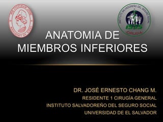 DR. JOSÉ ERNESTO CHANG M.
RESIDENTE 1 CIRUGÍA GENERAL
INSTITUTO SALVADOREÑO DEL SEGURO SOCIAL
UNIVERSIDAD DE EL SALVADOR
ANATOMIA DE
MIEMBROS INFERIORES
 