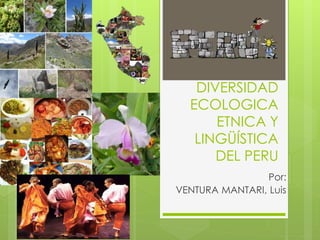 DIVERSIDAD
ECOLOGICA
ETNICA Y
LINGÜÍSTICA
DEL PERU
Por:
VENTURA MANTARI, Luis
 