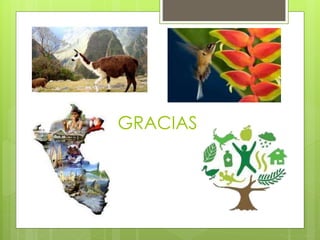 GRACIAS
 