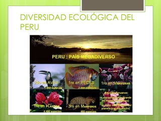 DIVERSIDAD ECOLÓGICA DEL
PERU
 