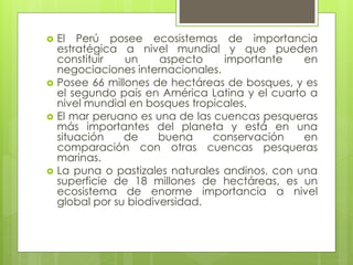  El Perú posee ecosistemas de importancia
estratégica a nivel mundial y que pueden
constituir un aspecto importante en
negociaciones internacionales.
 Posee 66 millones de hectáreas de bosques, y es
el segundo país en América Latina y el cuarto a
nivel mundial en bosques tropicales.
 El mar peruano es una de las cuencas pesqueras
más importantes del planeta y está en una
situación de buena conservación en
comparación con otras cuencas pesqueras
marinas.
 La puna o pastizales naturales andinos, con una
superficie de 18 millones de hectáreas, es un
ecosistema de enorme importancia a nivel
global por su biodiversidad.
 