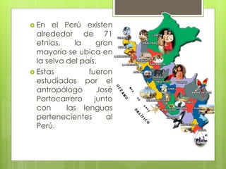  En el Perú existen
alrededor de 71
etnias, la gran
mayoría se ubica en
la selva del país.
 Estas fueron
estudiadas por el
antropólogo José
Portocarrero junto
con las lenguas
pertenecientes al
Perú.
 