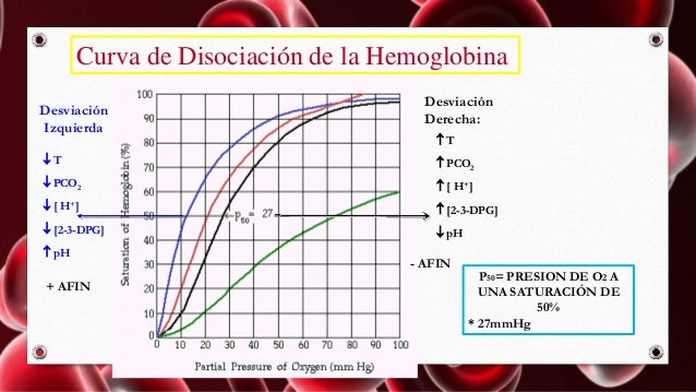 Función Respiratoria de la hemoglobina