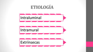 ETIOLOGÍA
Intraluminal
Intramural
Extrínsecas
 