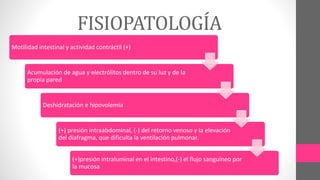 FISIOPATOLOGÍA
Motilidad intestinal y actividad contráctil (+)
Acumulación de agua y electrólitos dentro de su luz y de la
propia pared
Deshidratación e hipovolemia
(+) presión intraabdominal, (-) del retorno venoso y la elevación
del diafragma, que dificulta la ventilación pulmonar.
(+)presión intraluminal en el intestino,(-) el flujo sanguíneo por
la mucosa
 