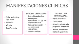 MANIFESTACIONES CLINICAS
• Dolor abdominal
tipo cólico
• Náuseas
• Vómito
• Estreñimiento
SIGNOS DE OBSTRUCCIÓN
• Distensión abdominal
• Borborigmos
hiperactivos y (-) en
etapas avanzadas
• Hemoconcentración y
anormalidades
electrolíticas
• Leucocitosis leve
OBSTRUCCIÓN
ESTRANGULADA
• Dolor abdominal
• Taquicardia
• Dolor localizado a la
palpación abdominal
• Fiebre, leucocitosis
marcada y acidosis
 