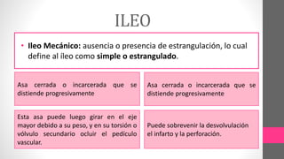 ILEO
• Ileo Mecánico: ausencia o presencia de estrangulación, lo cual
define al íleo como simple o estrangulado.
Asa cerrada o incarcerada que se
distiende progresivamente
Asa cerrada o incarcerada que se
distiende progresivamente
Esta asa puede luego girar en el eje
mayor debido a su peso, y en su torsión o
vólvulo secundario ocluir el pedículo
vascular.
Puede sobrevenir la desvolvulación
el infarto y la perforación.
 
