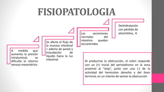 FISIOPATOLOGIA
A medida que
aumenta la presión
intraluminal, se
dificulta el retorno
venoso mesentérico
Se afecta el flujo de
la mucosa intestinal
= edema de pared y
trasudación de
líquido hacia la luz
intestinal
Las secreciones
normales del
intestino quedan
secuestradas
Al producirse la obstrucción, el colon responde
con un (+) inicial del peristaltismo en la zona
proximal al “stop”, junto con una (-) de la
actividad del hemicolon derecho y del íleon
terminal, en un intento de vencer la obstrucción
Deshidratación
con pérdida de
electrólitos, K.
 