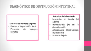 DIAGNÓSTICODEOBSTRUCCIÓNINTESTINAL
Exploración Rectal y vaginal
• Descartar impactación fecal
• Presencia de tumores
rectales
Estudios de laboratorio
• Leucocitos en banda: (+)
12.000
• Hematócrito: (+) en la
deshidratación
• Alteraciones Electroliticas:
Hipokalemia
• Acidosis: Sepsis
 
