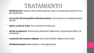 TRATAMIENTO
• Rehidratación: solución salina 0.9% hasta que haya una adecuada diuresis 0.5 cc
por kg de peso.
• Corrección del desequilibrio hidroelectrolítico: Con soluciones complementadas
con kcl.
• Aplicar sonda de Foley. Para monitorizar la diuresis
• Sonda nasogástrica. Disminuye la distensión abdominal, mejorando el dolor y la
ventilación.
• Intubación del intestino delgado. Con tubo de Miller Abbott o de cantor.
• Antibioticoterapía: Metronidazol + Aminoglucósido.
 