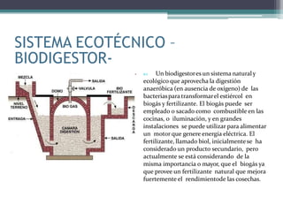 SISTEMA ECOTÉCNICO –
BIODIGESTOR-
•  Un biodigestores un sistema naturaly
ecológico que aprovecha la digestión
anaeróbica (en ausencia de oxígeno) de las
bacteriaspara transformarel estiércol en
biogás y fertilizante. El biogás puede ser
empleado o sacado como combustible en las
cocinas, o iluminación, y en grandes
instalaciones se puede utilizar para alimentar
un motor que genere energía eléctrica. El
fertilizante, llamado biol, inicialmentese ha
considerado un producto secundario, pero
actualmente se está considerando de la
misma importancia o mayor, que el biogás ya
que provee un fertilizante natural que mejora
fuertemente el rendimientode las cosechas.
 