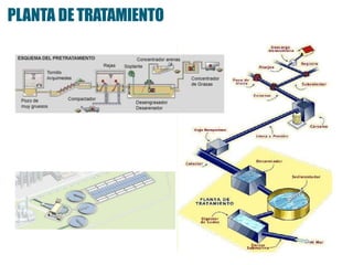 PLANTA DETRATAMIENTO
 