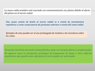El manejo inicial de esta lesión incluye férulas, junto con terapias físicas y ocupacionales.
En algunos casos la extirpación quirúrgica de fragmentos de hueso u otros defectos
anatómicos que puedan estar afectando al nervio puede ser autorizada.
La mano caída también está asociada con envenenamiento con plomo debido al efecto
del plomo en el nervio radial.
Una causa común de lesión al nervio radial es a través de movimientos
repetitivos o como consecuencia de presiones externas a través del canal radial.
Ejemplos de esto pueden ser el uso prolongado de muletas o de recostarse sobre
los codos.
 