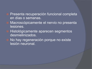  Presenta recuperación funcional completa
en días o semanas.
 Macroscópicamente el nervio no presenta
lesiones.
 Histológicamente aparecen segmentos
desmielinizados.
 No hay regeneración porque no existe
lesión neuronal.
 