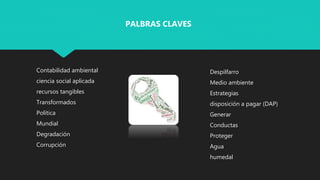 Contabilidad ambiental
ciencia social aplicada
recursos tangibles
Transformados
Política
Mundial
Degradación
Corrupción
PALBRAS CLAVES
Despilfarro
Medio ambiente
Estrategias
disposición a pagar (DAP)
Generar
Conductas
Proteger
Agua
humedal
 