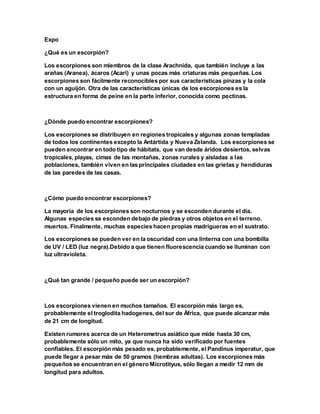 Expo
¿Qué es un escorpión?
Los escorpiones son miembros de la clase Arachnida, que también incluye a las
arañas (Aranea), ácaros (Acari) y unas pocas más criaturas más pequeñas. Los
escorpiones son fácilmente reconocibles por sus características pinzas y la cola
con un aguijón. Otra de las características únicas de los escorpiones es la
estructura en forma de peine en la parte inferior, conocida como pectinas.
¿Dónde puedo encontrar escorpiones?
Los escorpiones se distribuyen en regiones tropicales y algunas zonas templadas
de todos los continentes excepto la Antártida y Nueva Zelanda. Los escorpiones se
pueden encontrar en todo tipo de hábitats, que van desde áridos desiertos, selvas
tropicales, playas, cimas de las montañas, zonas rurales y aisladas a las
poblaciones, también viven en las principales ciudades en las grietas y hendiduras
de las paredes de las casas.
¿Cómo puedo encontrar escorpiones?
La mayoría de los escorpiones son nocturnos y se esconden durante el día.
Algunas especies se esconden debajo de piedras y otros objetos en el terreno.
muertos. Finalmente, muchas especies hacen propias madrigueras en el sustrato.
Los escorpiones se pueden ver en la oscuridad con una linterna con una bombilla
de UV / LED (luz negra).Debido a que tienen fluorescencia cuando se iluminan con
luz ultravioleta.
¿Qué tan grande / pequeño puede ser un escorpión?
Los escorpiones vienen en muchos tamaños. El escorpión más largo es,
probablemente el troglodita hadogenes, del sur de África, que puede alcanzar más
de 21 cm de longitud.
Existen rumores acerca de un Heterometrus asiático que mide hasta 30 cm,
probablemente sólo un mito, ya que nunca ha sido verificado por fuentes
confiables. El escorpión más pesado es, probablemente, el Pandinus imperatur, que
puede llegar a pesar más de 50 gramos (hembras adultas). Los escorpiones más
pequeños se encuentran en el género Microtityus, sólo llegan a medir 12 mm de
longitud para adultos.
 