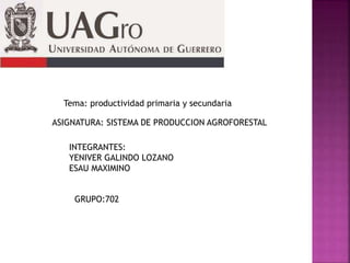 Tema: productividad primaria y secundaria
INTEGRANTES:
YENIVER GALINDO LOZANO
ESAU MAXIMINO
GRUPO:702
ASIGNATURA: SISTEMA DE PRODUCCION AGROFORESTAL
 