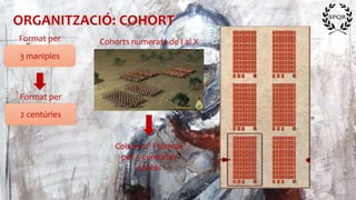 ORGANITZACIÓ: COHORT
3 maniples
Format per
2 centúries
Format per
Cohorts numerats de I al X
Cohort nº I format
per 5 centúries
dobles
 