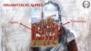 ORGANITZACIÓ: ALTRES
TrompetistaSignifer
 