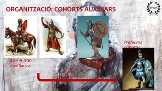 ORGANITZACIÓ: COHORTS AUXILIARS
Alae  500
auxiliars a
Cohorts
auxiliars
Prefectus
cohortis
 