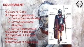 EQUIPAMENT
Galea  Casc
3 tipus de pectorals
 Lorica hamata (Malla)
 Lorica sacamata
(Bronze)
 Lorica segmentata
Caligae  Sandàlies
Cingulum  Cinturó
Túnica
Muñecum  Canellera
Muñecum
 