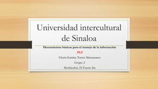 Universidad intercultural
de Sinaloa
Herramientas básicas para el manejo de la información
PLE
Gloria Karime Torres Manzanarez
Grupo 2
Mochicahui, El Fuerte Sin
 