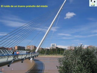 El ruido de un trueno preludio del miedo 