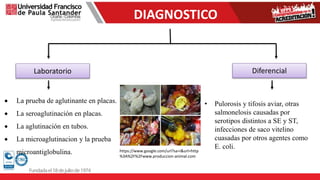 DIAGNOSTICO
Laboratorio Diferencial
 La prueba de aglutinante en placas.
 La seroaglutinación en placas.
 La aglutinación en tubos.
 La microaglutinacion y la prueba
microantiglobulina.
• Pulorosis y tifosis aviar, otras
salmonelosis causadas por
serotipos distintos a SE y ST,
infecciones de saco vitelino
cuasadas por otros agentes como
E. coli.
https://www.google.com/url?sa=i&url=http
%3A%2F%2Fwww.produccion-animal.com
 