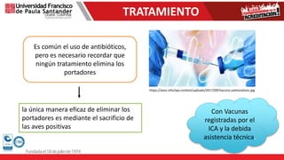 TRATAMIENTO
Es común el uso de antibióticos,
pero es necesario recordar que
ningún tratamiento elimina los
portadores
la única manera eficaz de eliminar los
portadores es mediante el sacrificio de
las aves positivas
Con Vacunas
registradas por el
ICA y la debida
asistencia técnica.
https://aves.info/wp-content/uploads/2017/09/Vacuna-salmonelosis.jpg
 